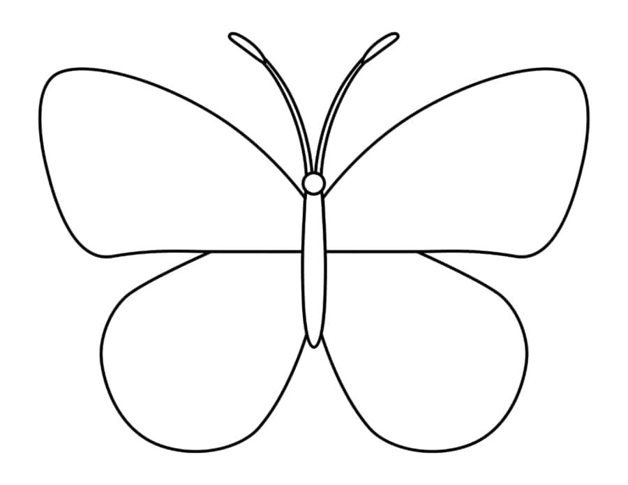 Butterfly Black Outline Art Coloring Pages Pdf Free Vectors